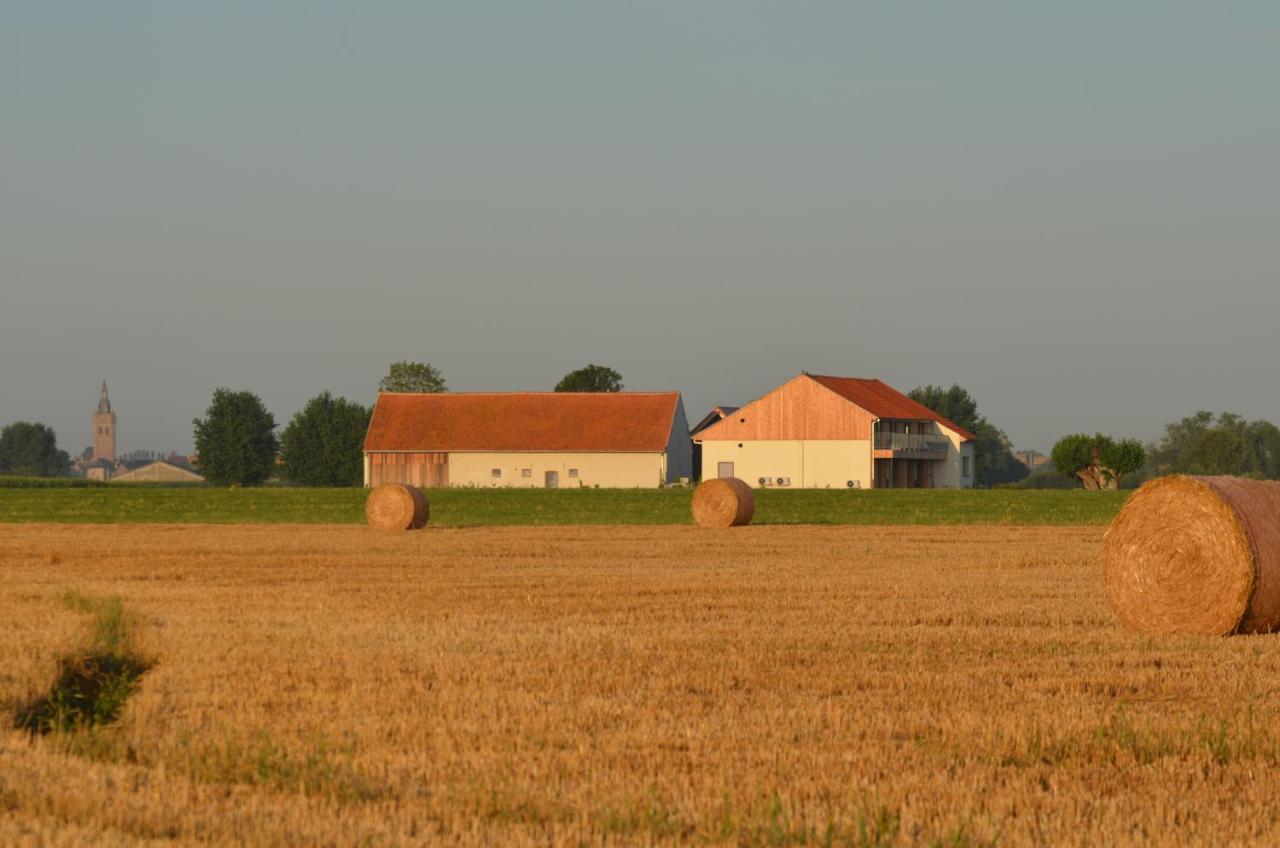 Oversteekhof Roesbrugge-Haringe Екстериор снимка